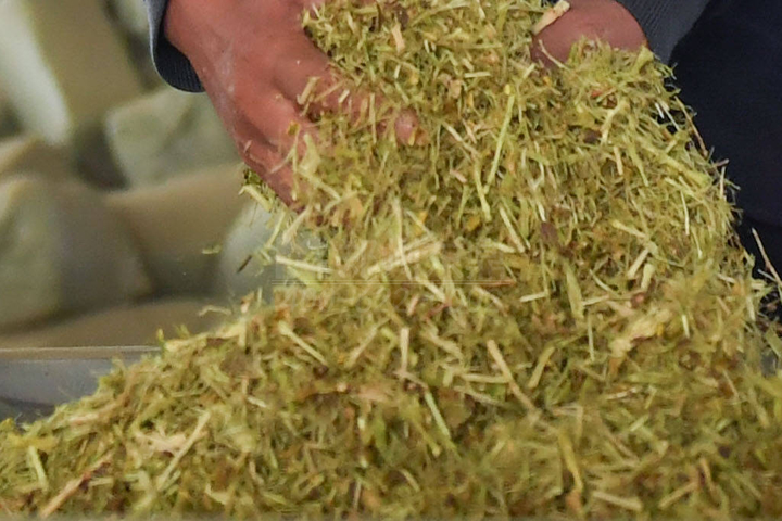 生物質(zhì)烘干機(jī)廠家鄭州東鼎干燥開發(fā)了大型檸條烘干機(jī)成套設(shè)備，實(shí)現(xiàn)了檸條資源規(guī)?；弥贰?></div>
                                                <div   id=